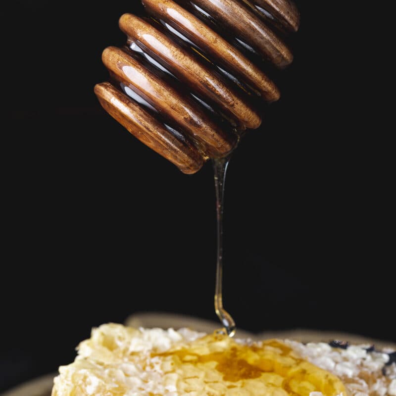 Miel pura de Tarro de Miel